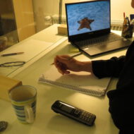 Beraterin mit Laptop vor sich